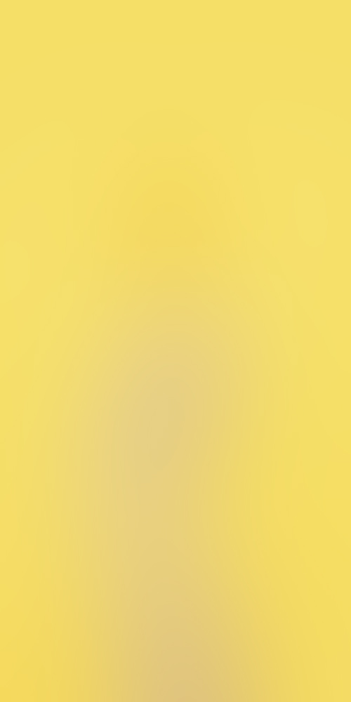 Project Name